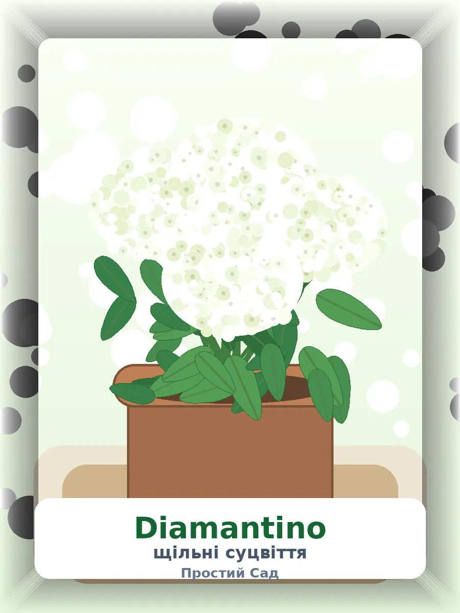 Гортензія Diamantino