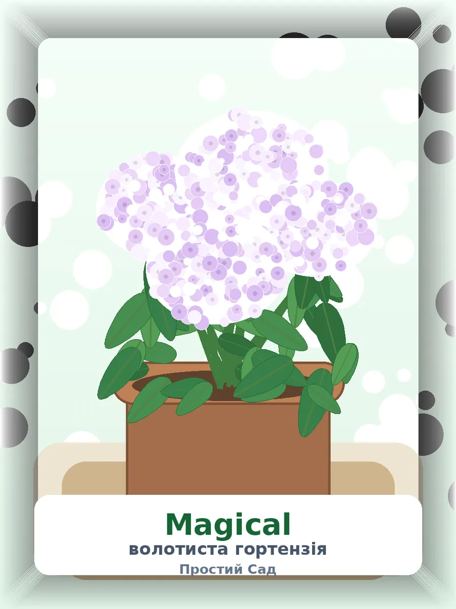 Гортензія Magical